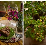 La Casa Di Marco, Holidays, Sea And Nature 公寓 *