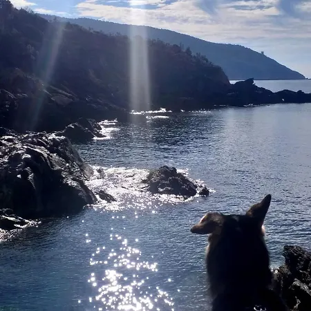 Daire La Casa Di Marco, Holidays, Sea And Nature *