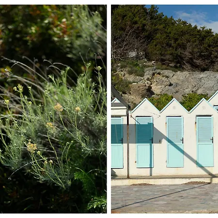 La Casa Di Marco, Holidays, Sea And Nature * 몬티아노
