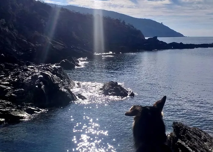 아파트 La Casa Di Marco, Holidays, Sea And Nature *