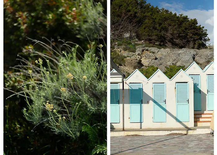 La Casa Di Marco, Holidays, Sea And Nature * 몬티아노